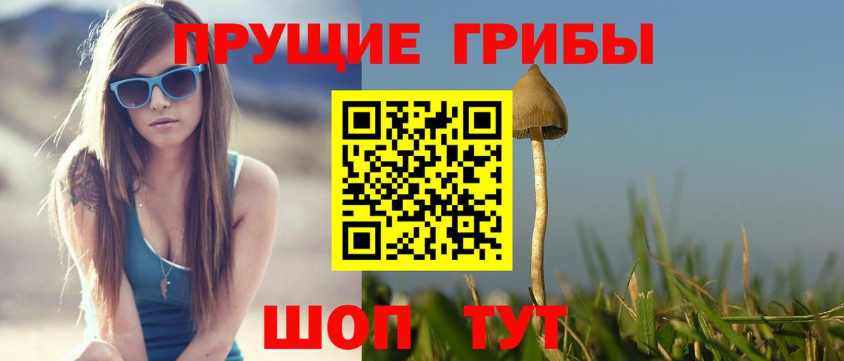 Горно-Алтайск  Псилоцибиновые грибы Magic Shrooms  Вход с VPN 